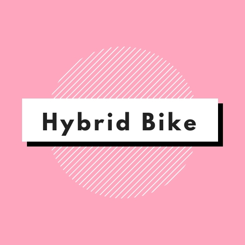 Hybrid Bike